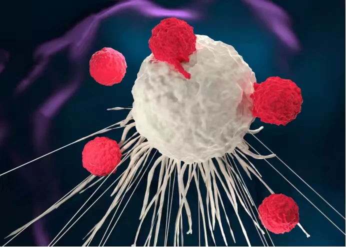 CAR T-Cell Therapy
